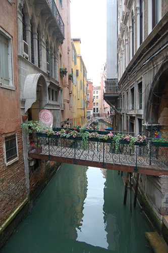 Venice Web 34